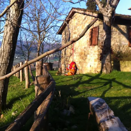 Fattoria Poggio Di Dante *