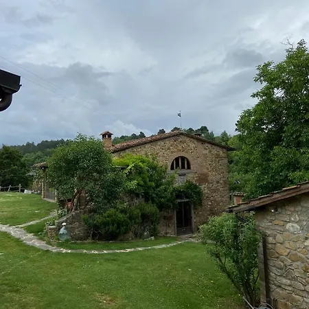 Fattoria Poggio Di Dante * 포피