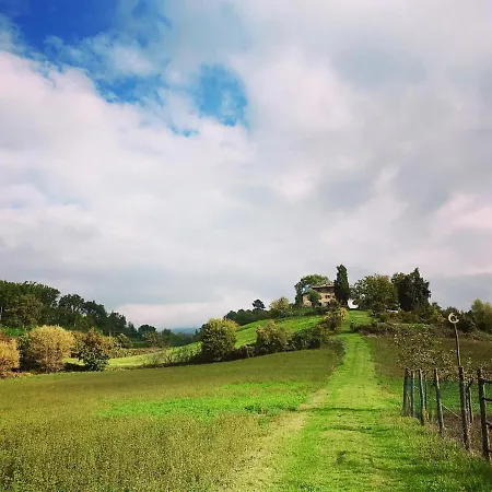 Fattoria Poggio Di Dante 포피
