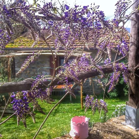 Fattoria Poggio Di Dante Inn Poppi