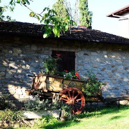 Fattoria Poggio Di Dante 포피