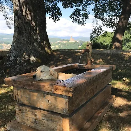 Fattoria Poggio Di Dante 포피