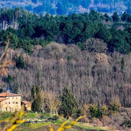 Fattoria Poggio Di Dante