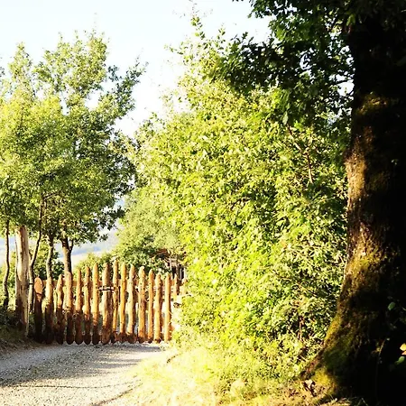 Fattoria Poggio Di Dante 여관 *