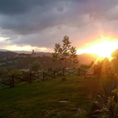 Fattoria Poggio Di Dante