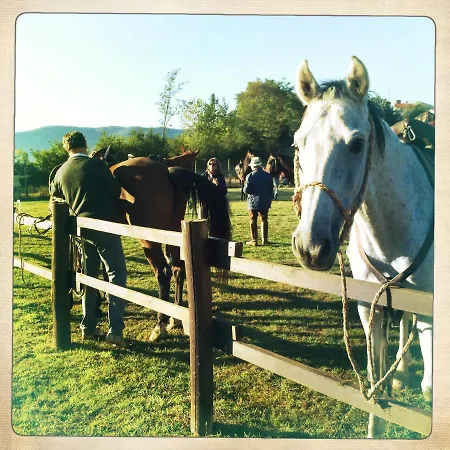 Inn Fattoria Poggio Di Dante