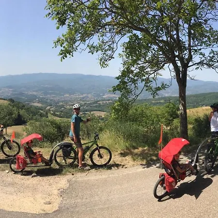Fattoria Poggio Di Dante
