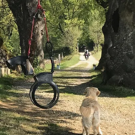 Fattoria Poggio Di Dante *